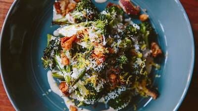 Fox & the Knife Fox & the Knife